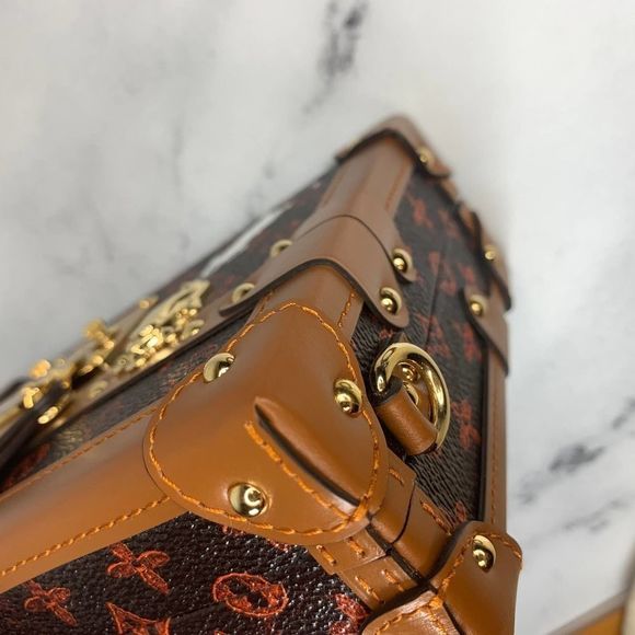 Louis Vuitton Catogram Trunk Petite Malle cat bag crossbody LV Grace Coddington - Picture 12 of 15